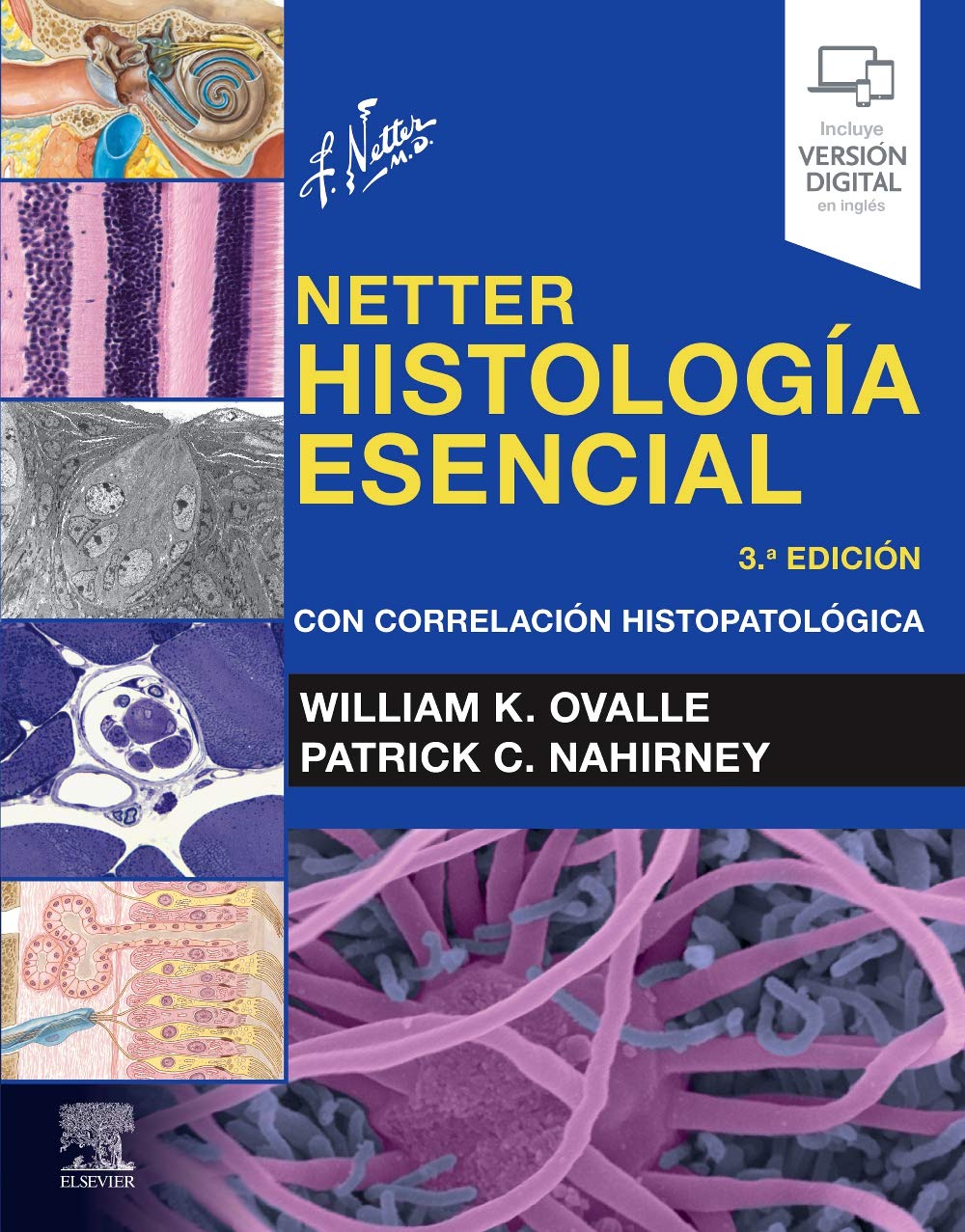 NETTER Histología Esencial. Con Correlación Histopatológica | Marban Libros S.L.