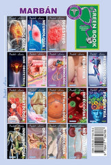 Consulta Rápida en Medicina Interna - Pocket ISBN: 9788417184766 Marban Libros