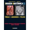 Imagen Anatómica. Tórax, Abdomen y Pelvis