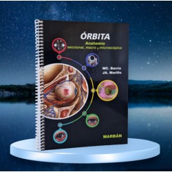 ORBITA ANATOMIA