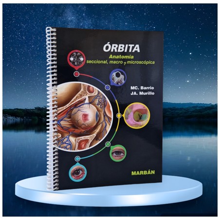 ORBITA ANATOMIA