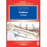 Bauer / Cadera y Fémur - Cirugía Ortopédica. Vol 3