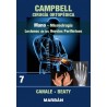 Mano, Microcirugía, Lesiones de los Nervios Periféricos - Campbell Cirugía Ortopédica. Tomo 7