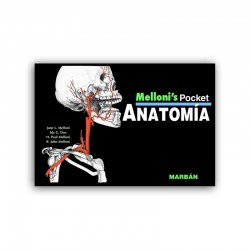 Melloni´s / Pocket - Anatomia