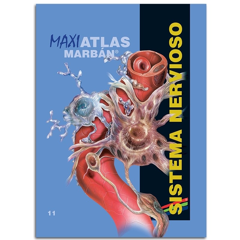 MARBÁN - Maxi Atlas 11 Sistema Nervioso