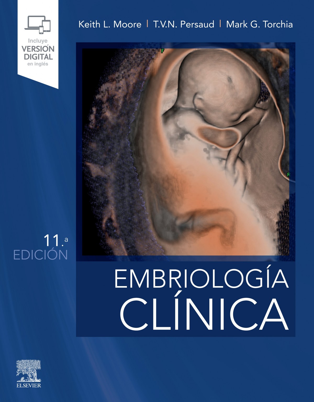 Embriología Clínica