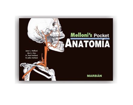 Anatomía