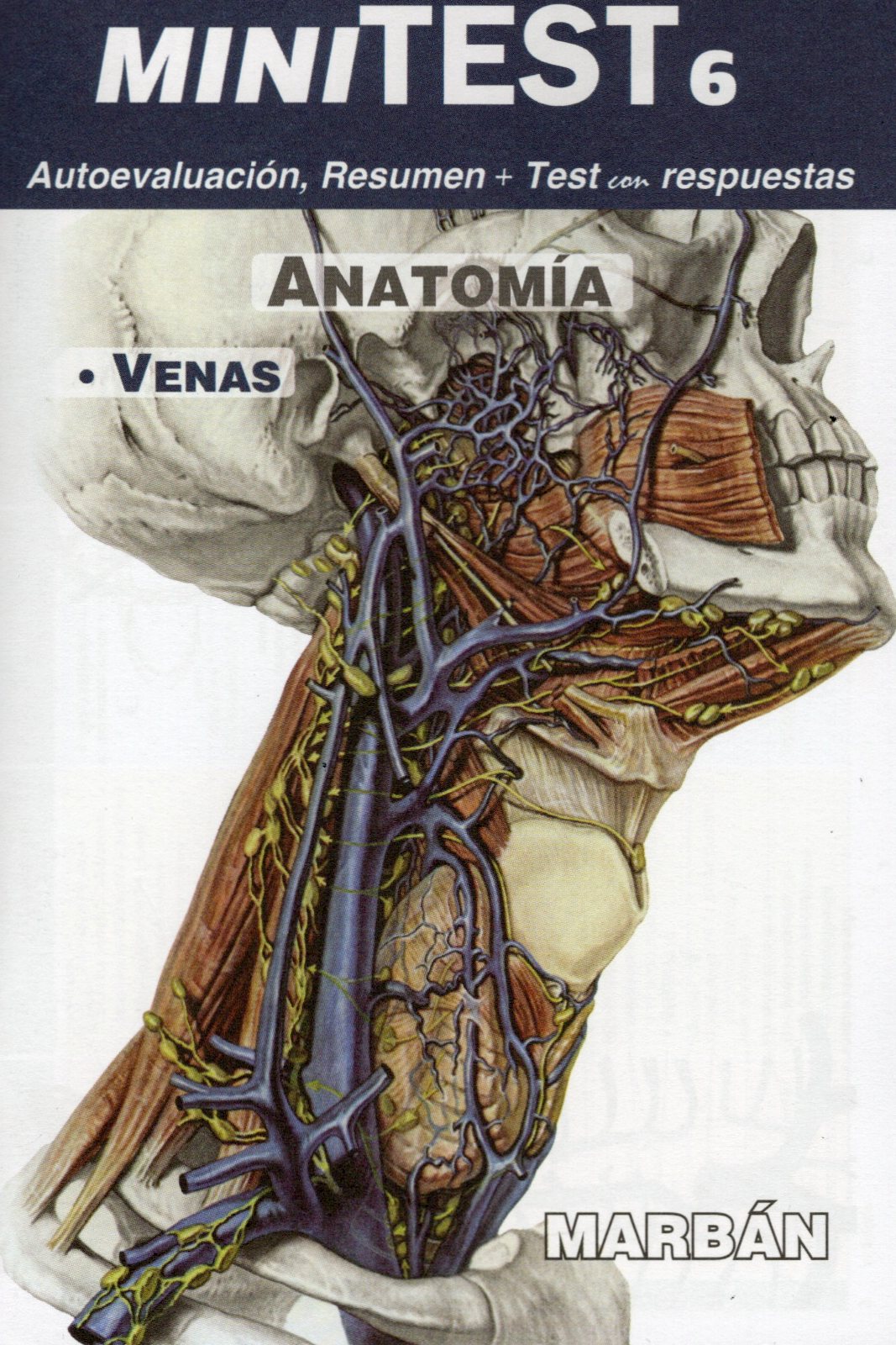 MiniTest 6. Anatomía Venas