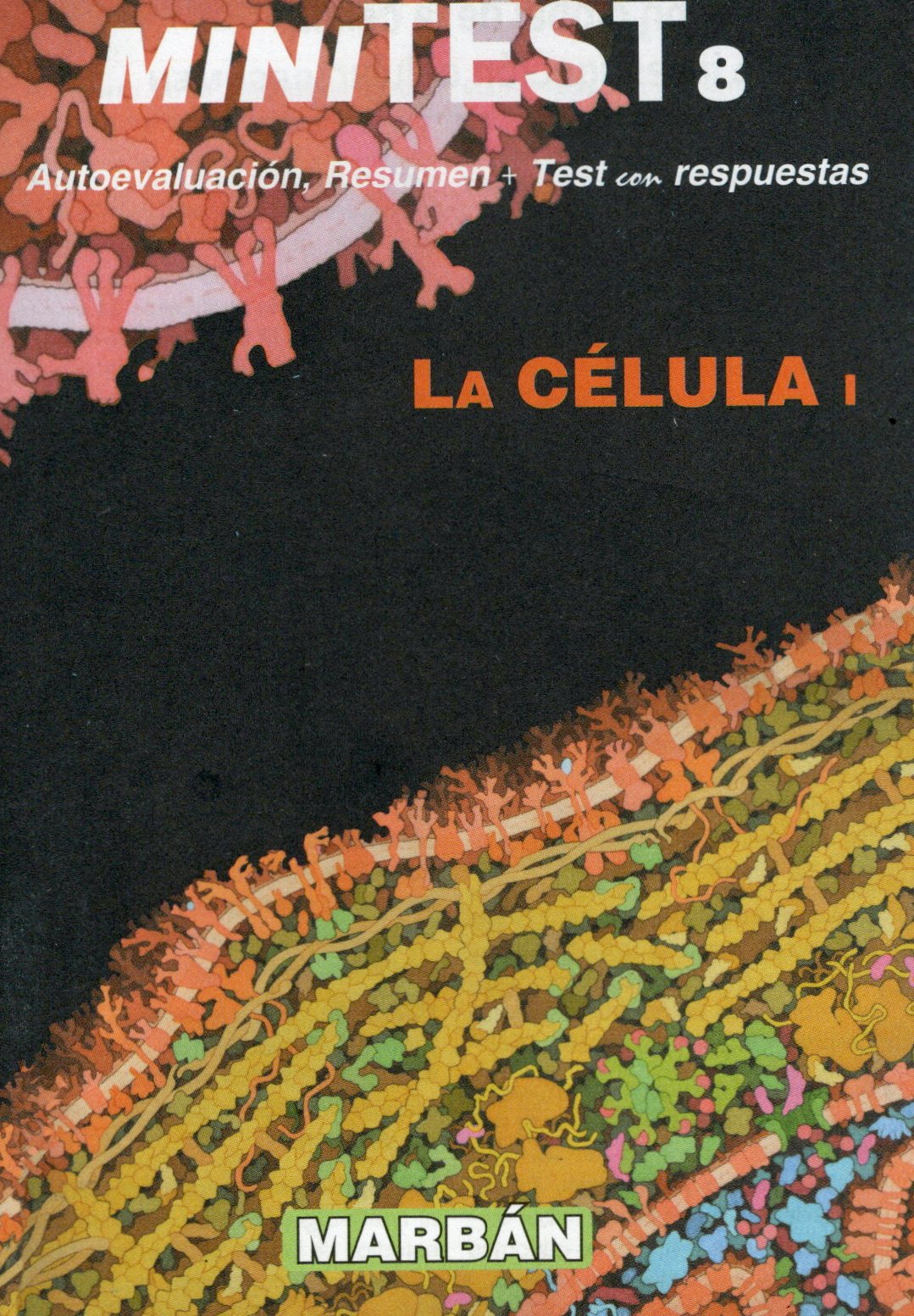 MiniTest 8. La Célula