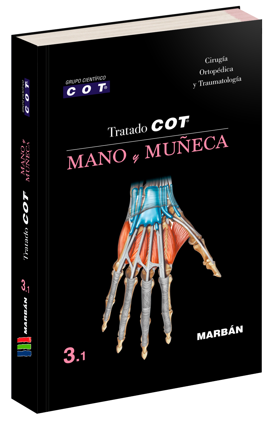 Tratado COT - 3.1 Mano y Muñeca. COT Grupo Científico