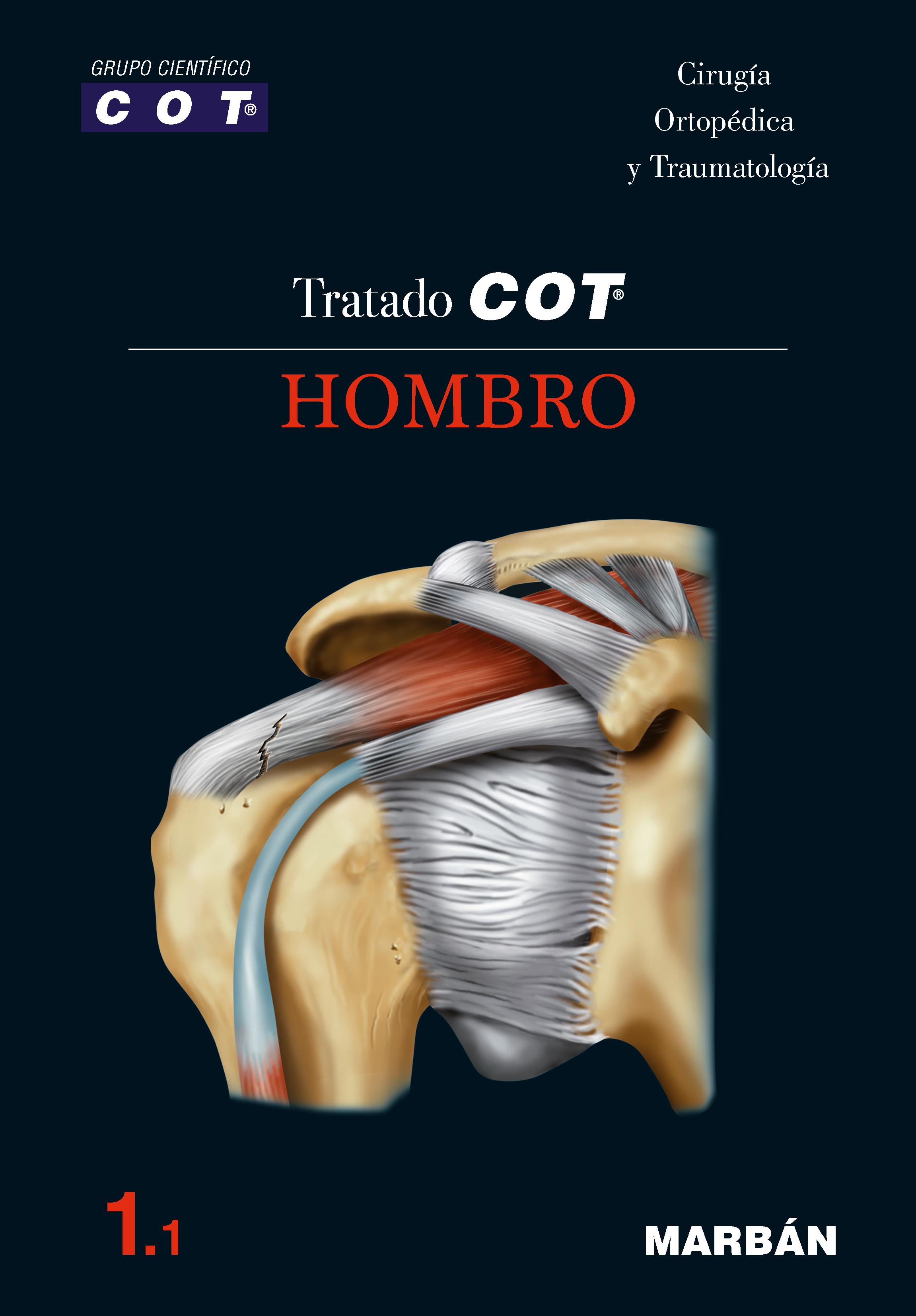 Tratado COT - 1.1 Hombro. COT Grupo Científico