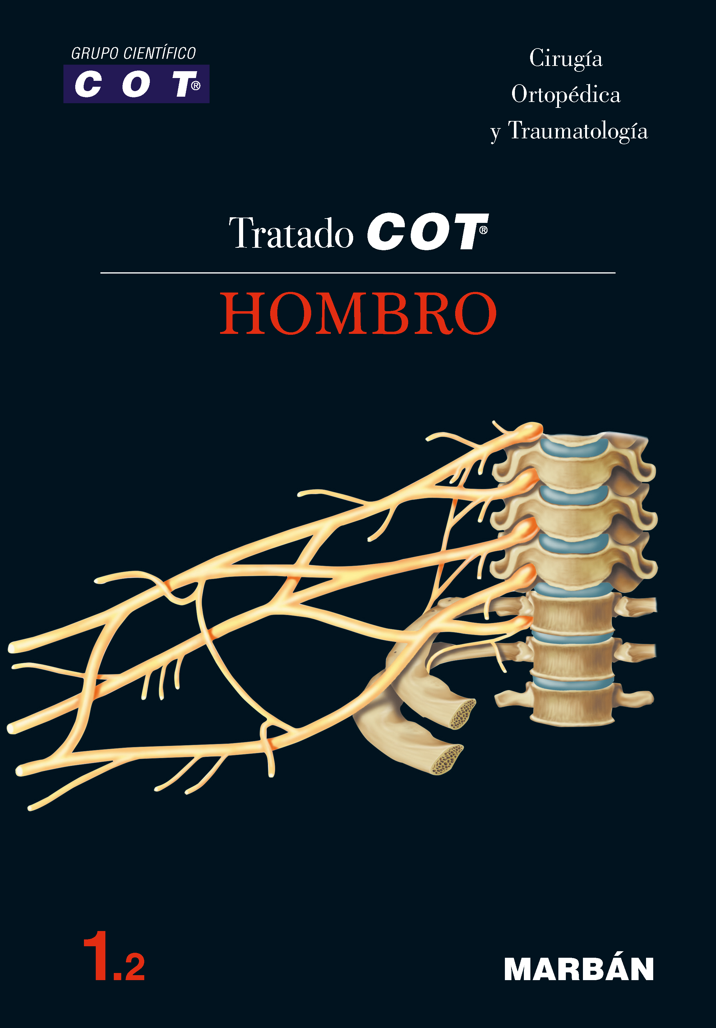 Tratado COT - 1.2 Hombro. COT Grupo Científico