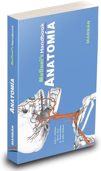 Anatomía