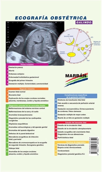 Ecografía Obstétrica Premium