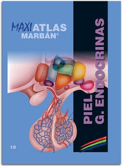 Maxi Atlas 10 Piel Glándulas Endocrinas