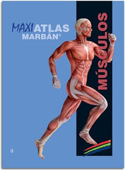 Maxi Atlas 3 Músculos