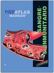 Maxi Atlas 9 Sangre Sistema Inmunitario