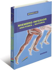 Miembro inferior. Anatomía al Natural